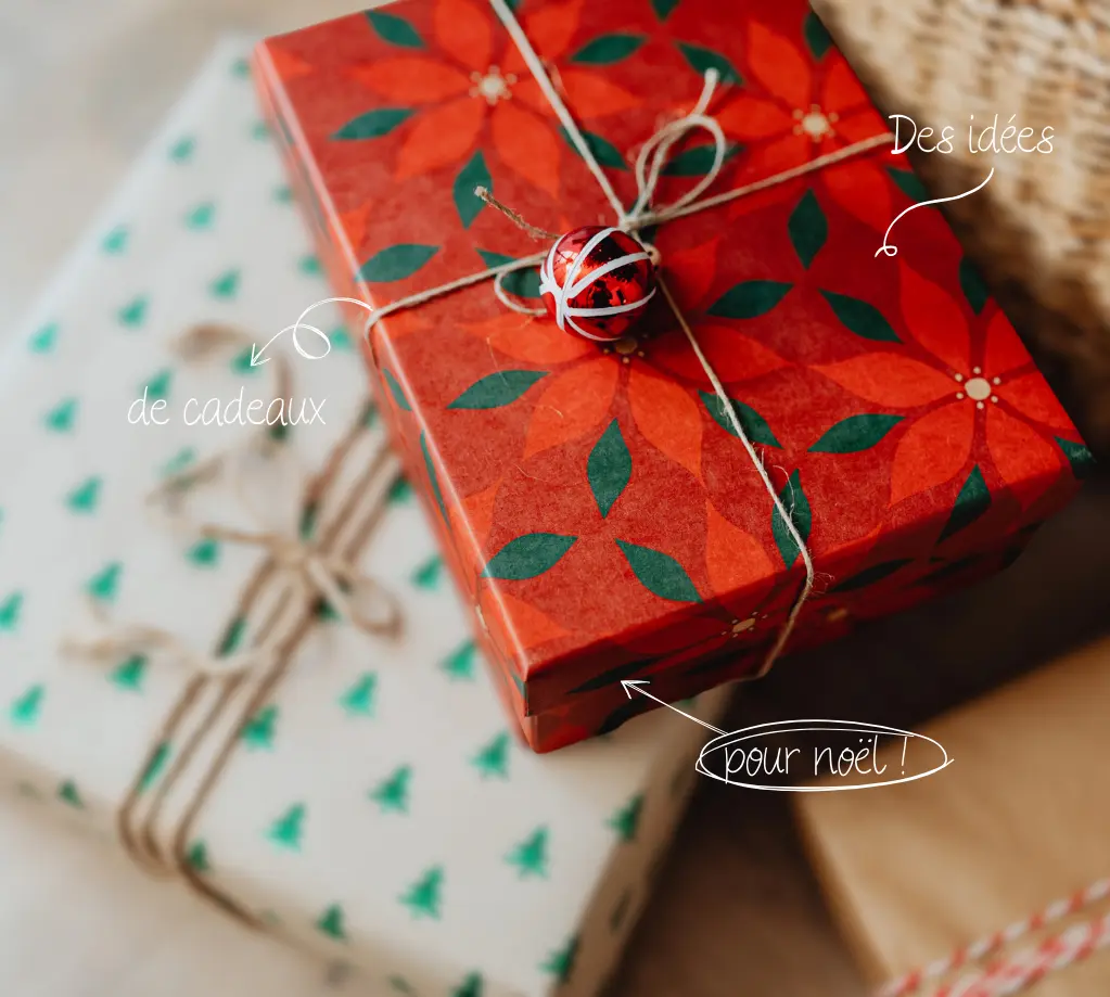 livres pour Noël 2025